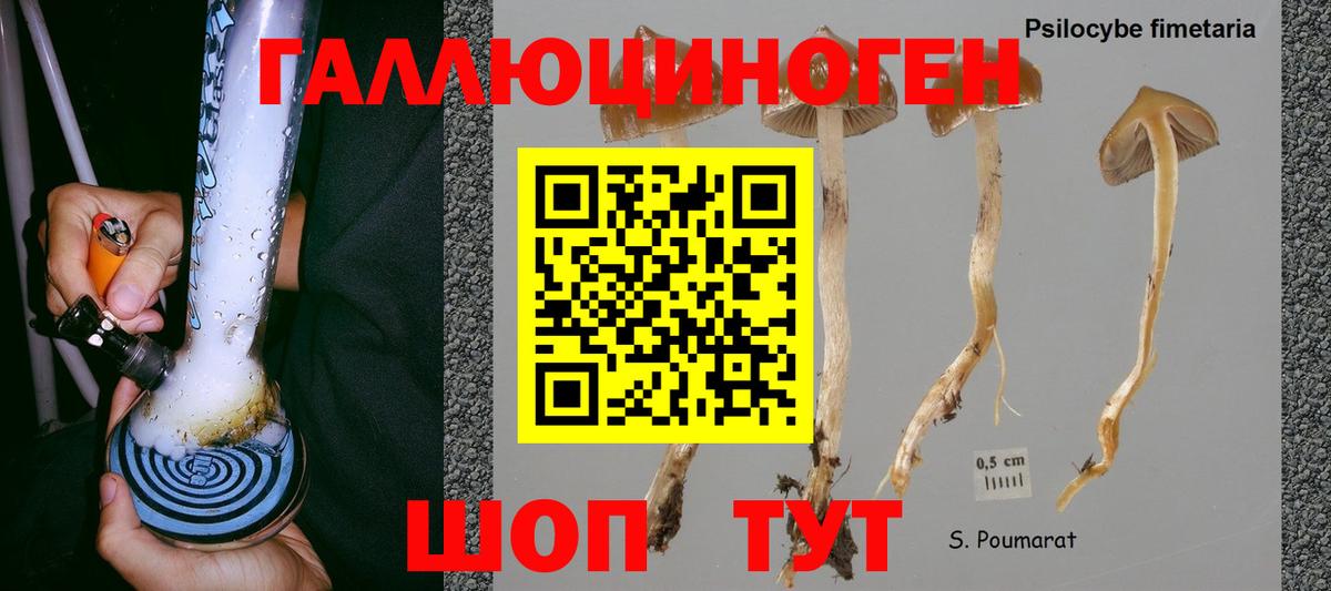 Норильск  сколько стоит  Вход с VPN  Псилоцибиновые грибы ЛСД 